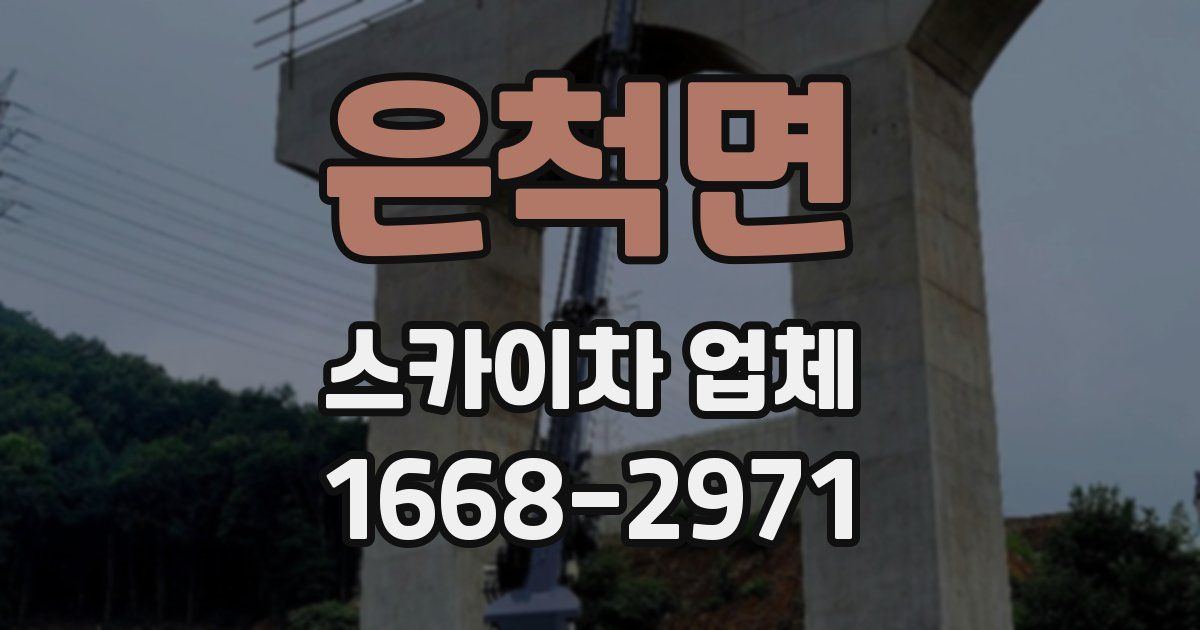 은척면 스카이차 업체