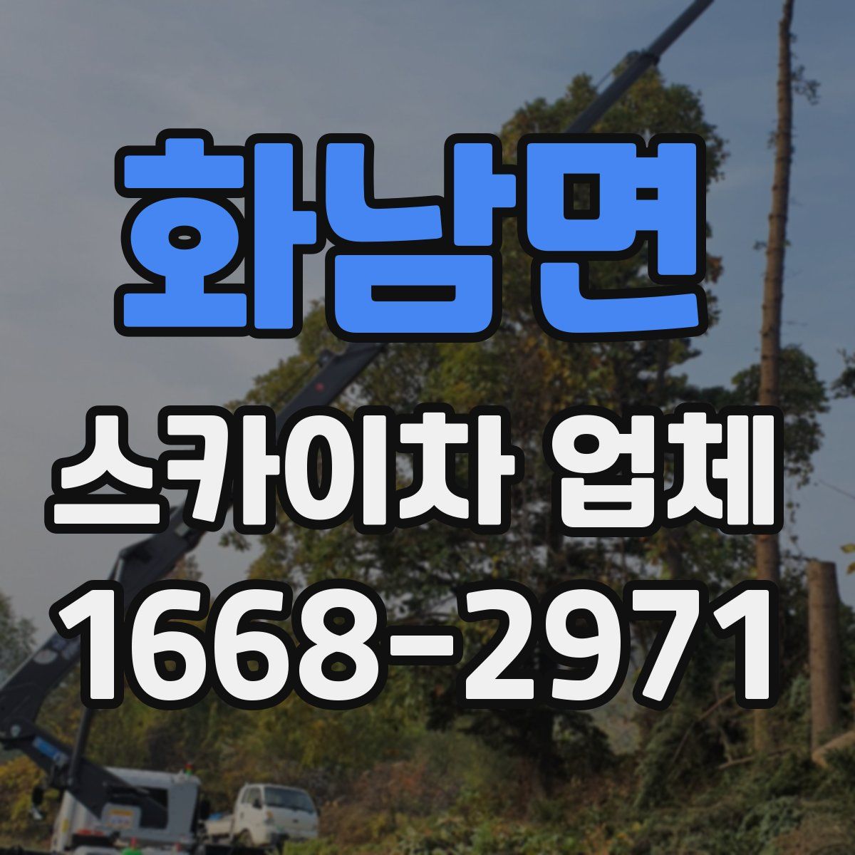 화남면 스카이차 업체