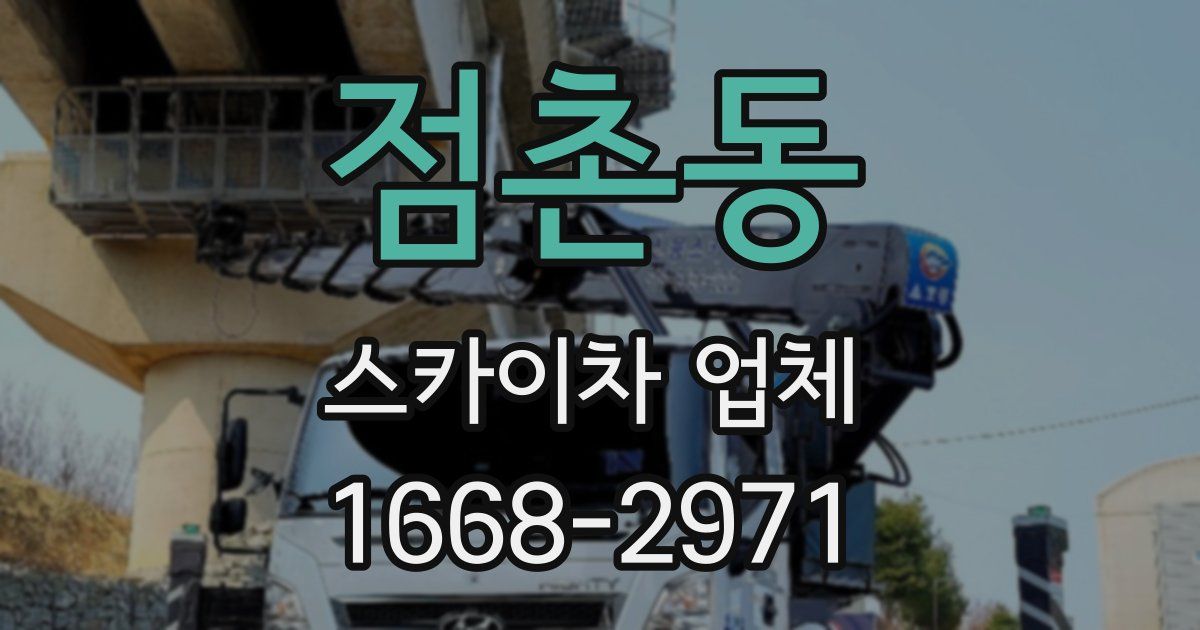 점촌동 스카이차 업체