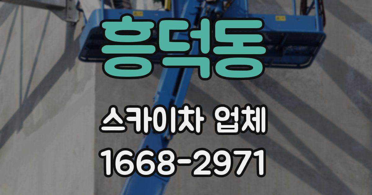 흥덕동 스카이차 업체