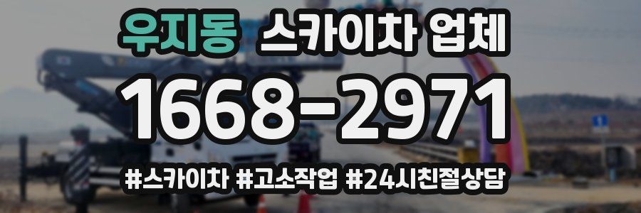 우지동 스카이차 업체
