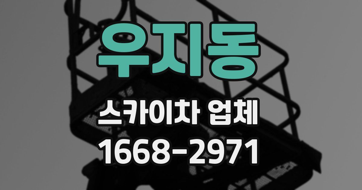 우지동 스카이차 업체