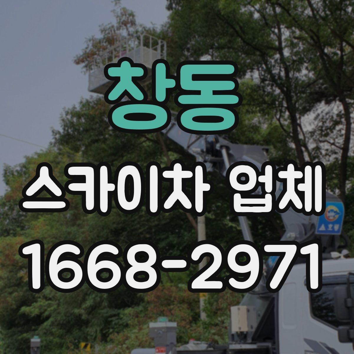 창동 스카이차 업체 문의가 늦어지면 생기는 일정 문제