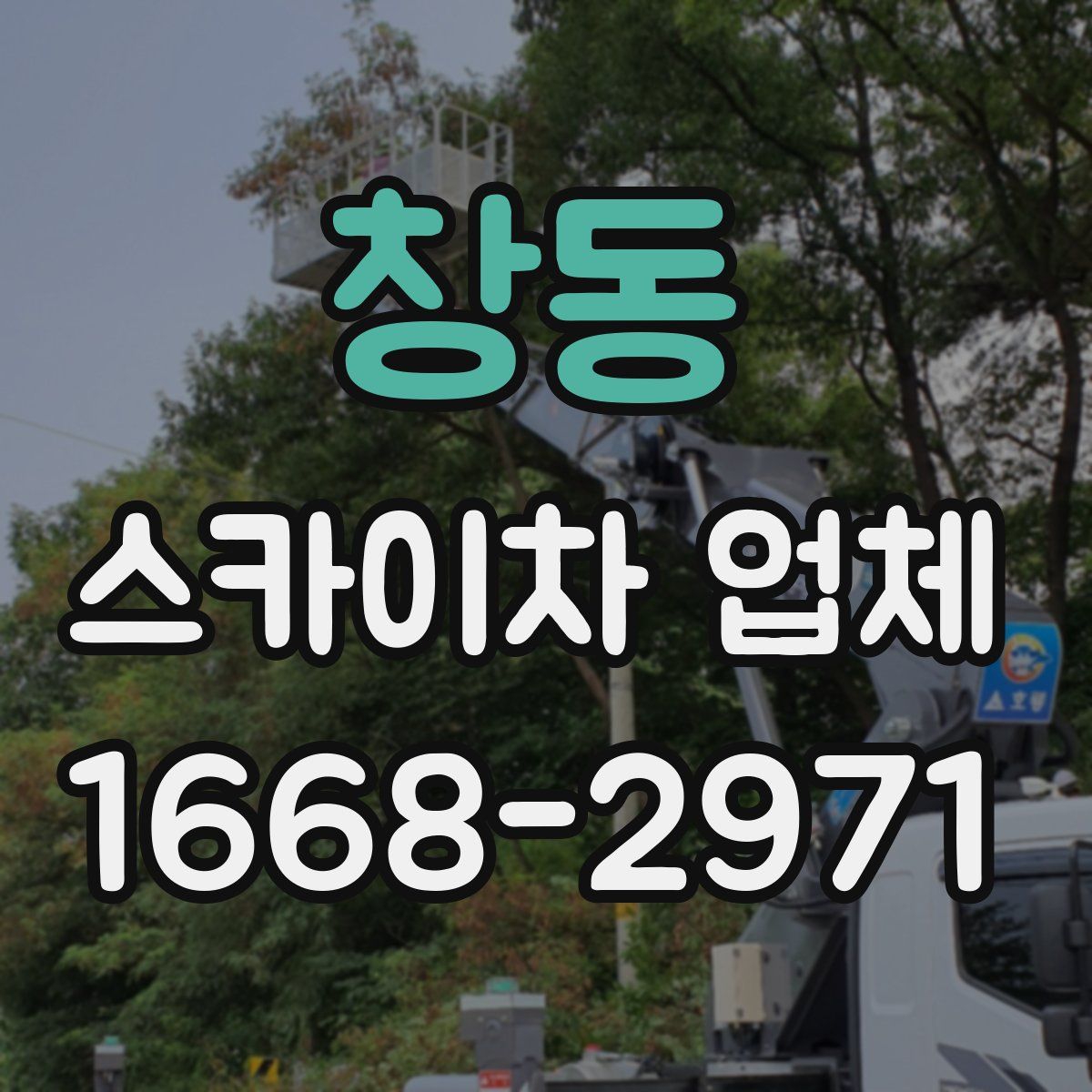 창동 스카이차 업체