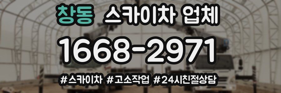 창동 스카이차 업체