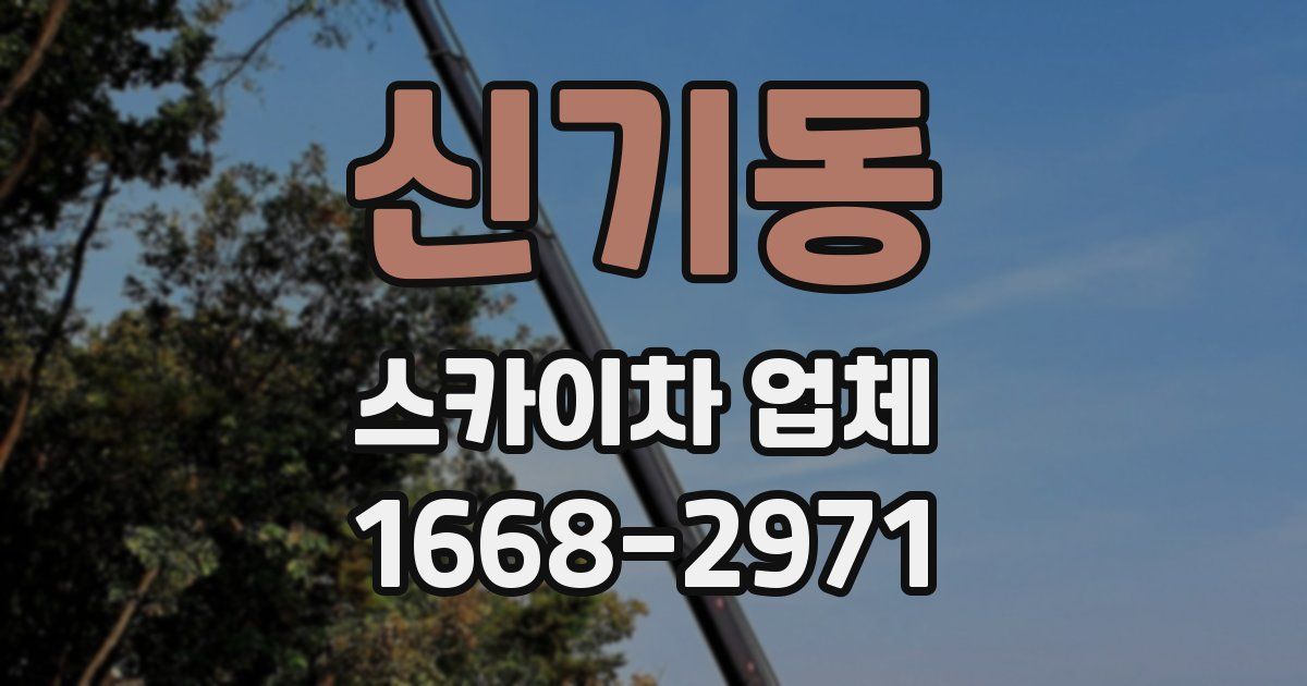 신기동 스카이차 업체
