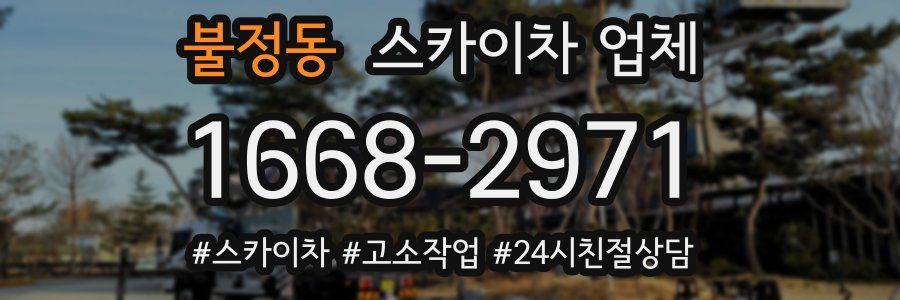 불정동 스카이차 업체