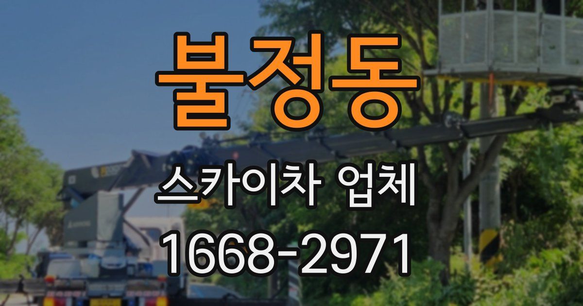 불정동 스카이차 업체