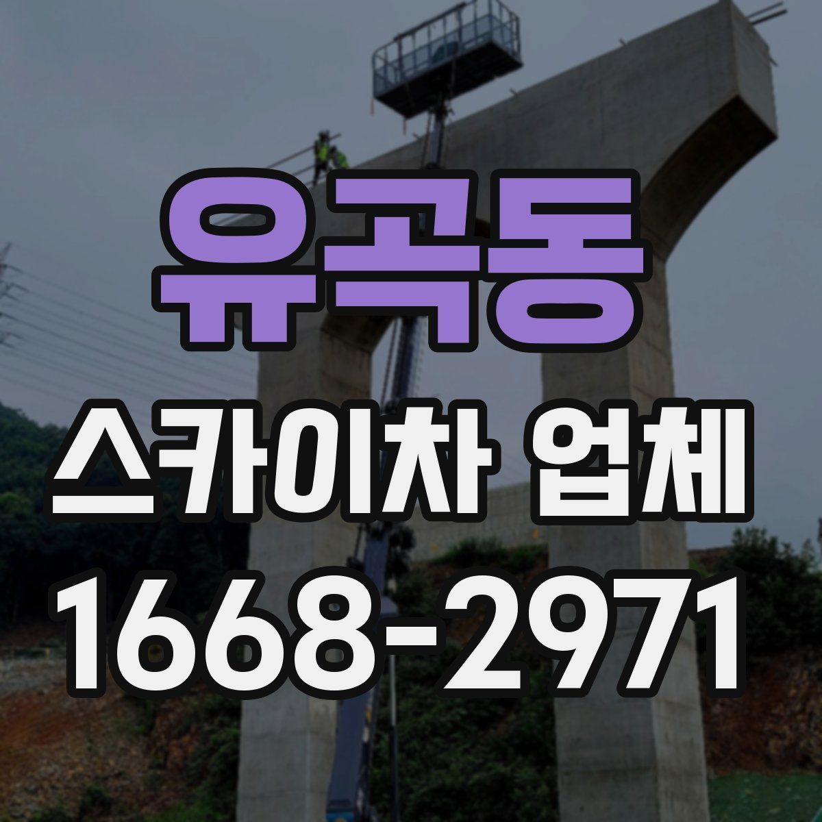 유곡동 스카이차 업체