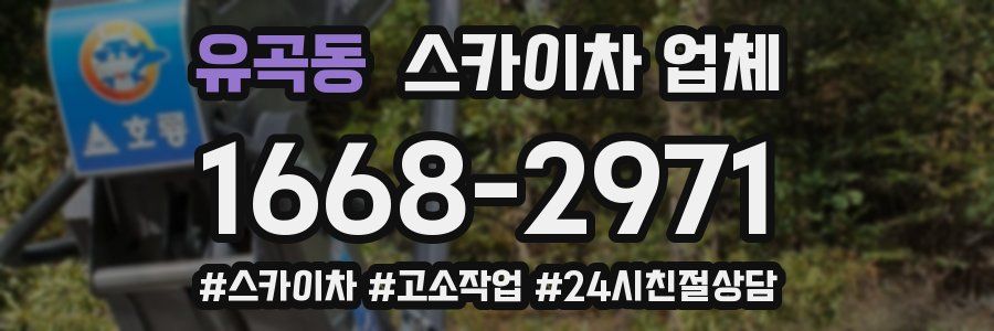 유곡동 스카이차 업체