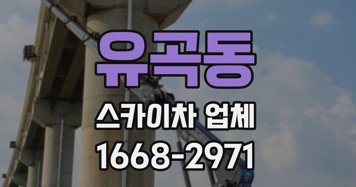유곡동 스카이차 업체