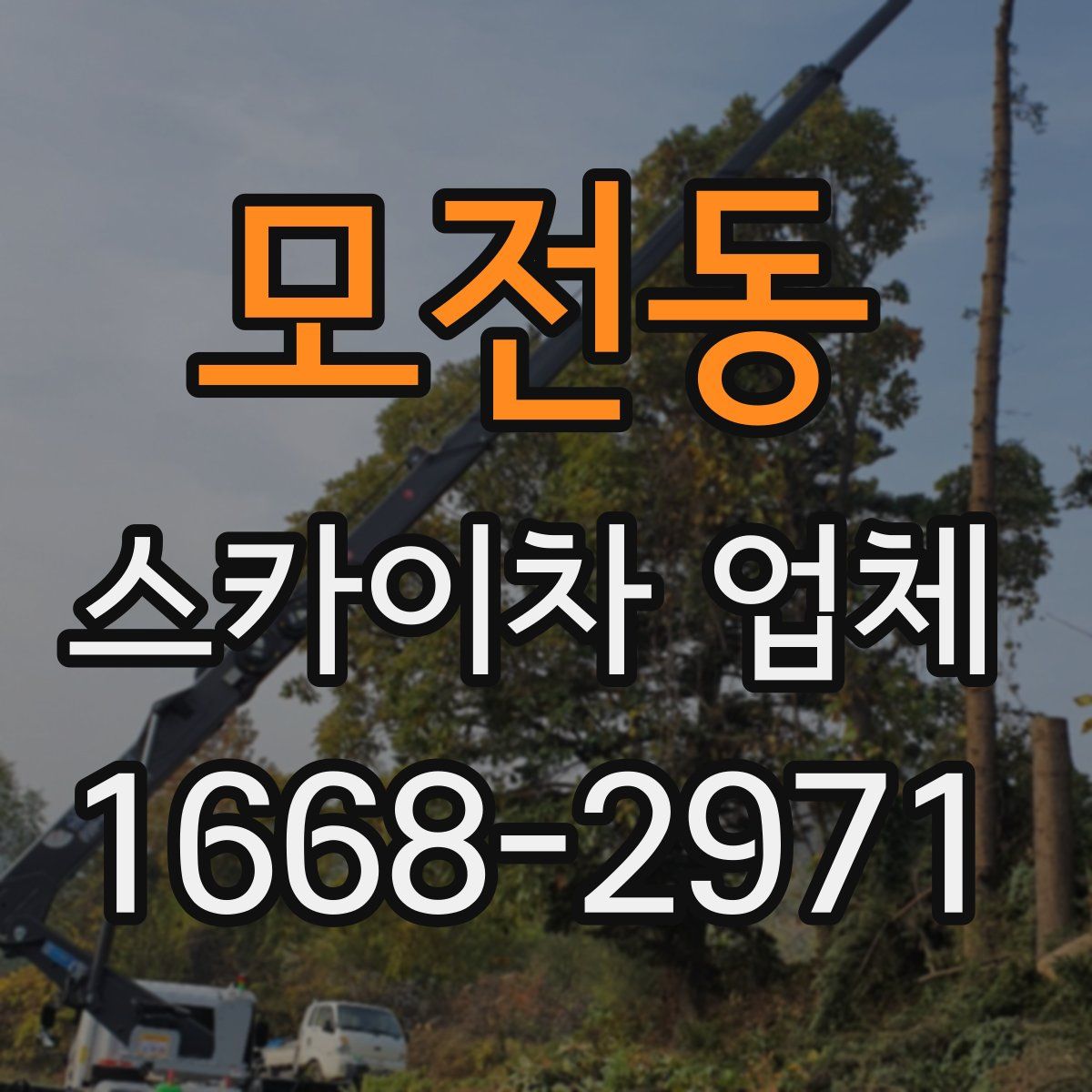 모전동 스카이차 업체