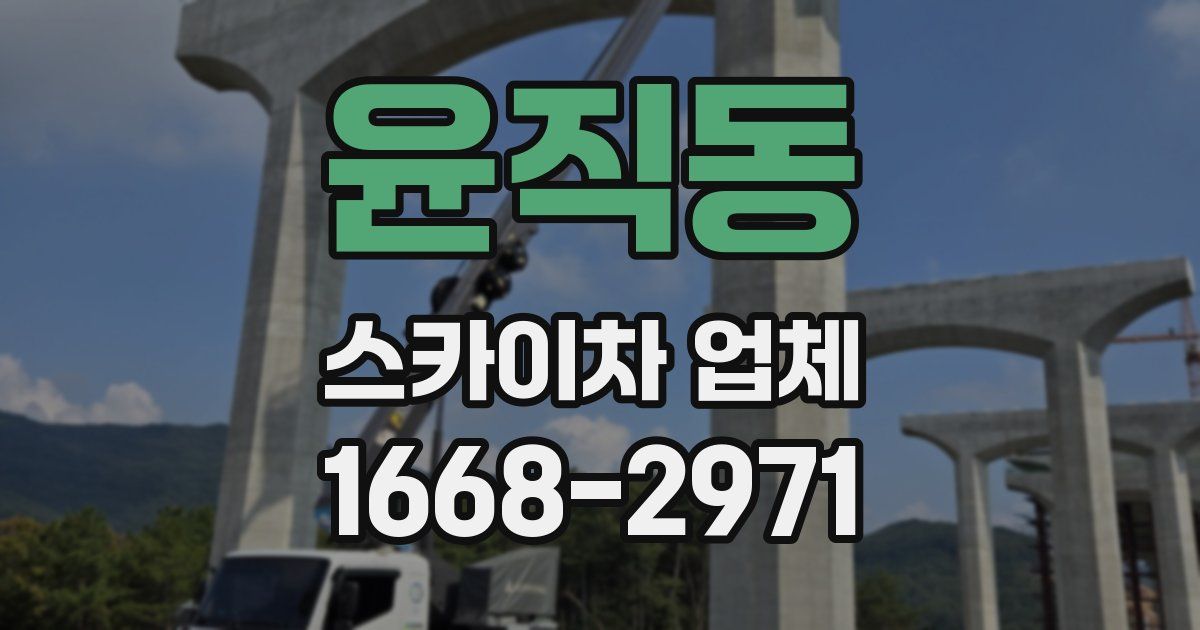 윤직동 스카이차 업체