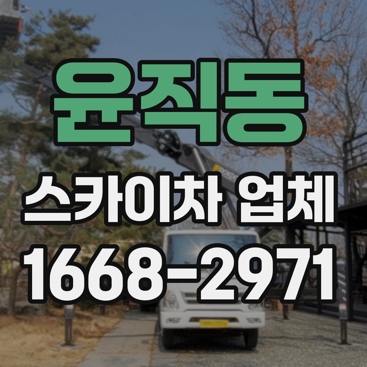윤직동 스카이차 업체