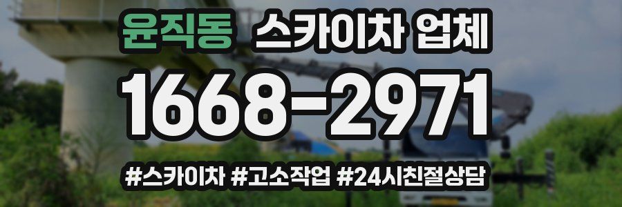 윤직동 스카이차 업체