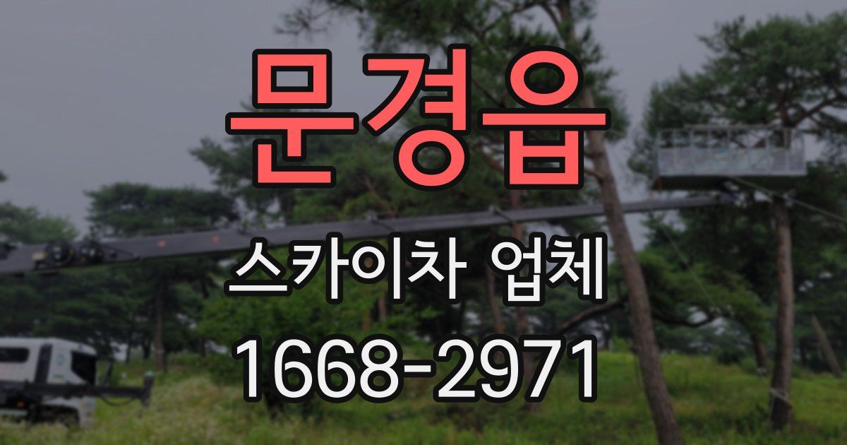 문경읍 스카이차 업체