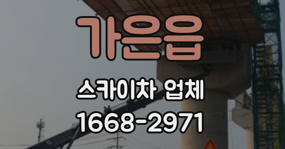 가은읍 스카이차 업체