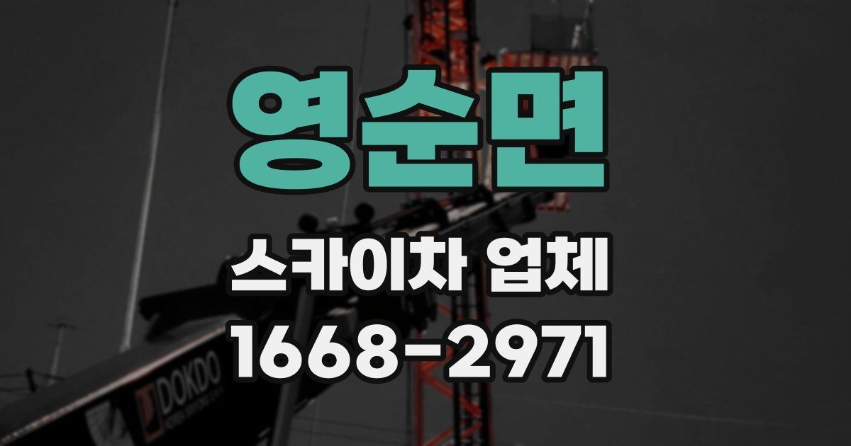 영순면 스카이차 업체