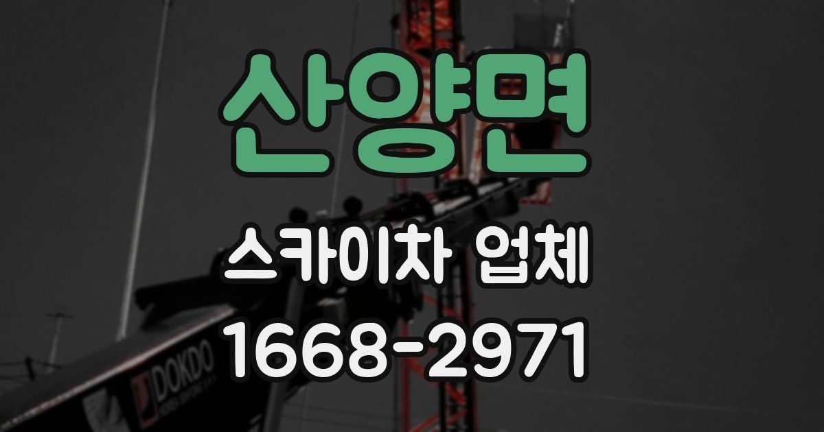 산양면 스카이차 업체