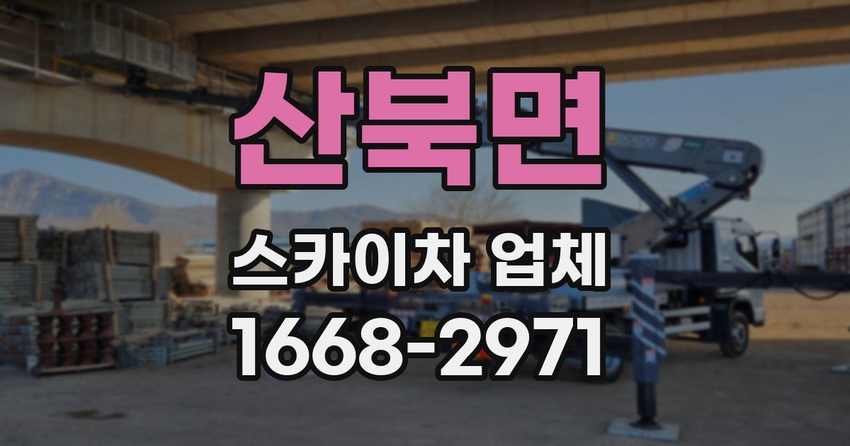 산북면 스카이차 업체