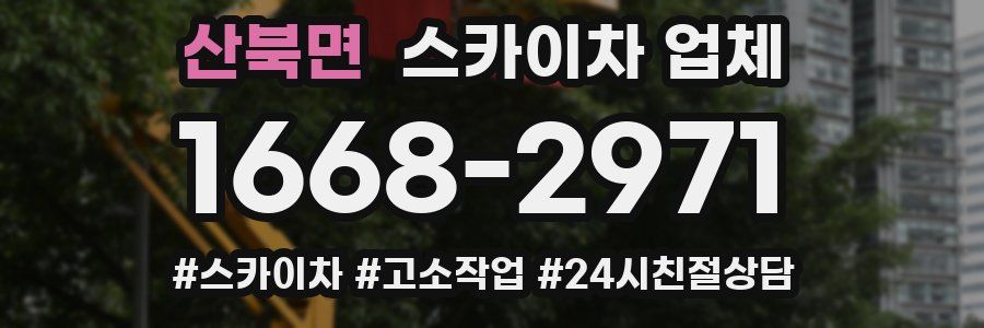 산북면 스카이차 업체