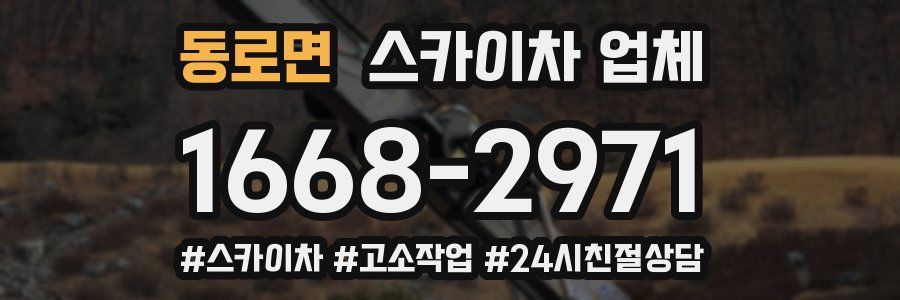 동로면 스카이차 업체