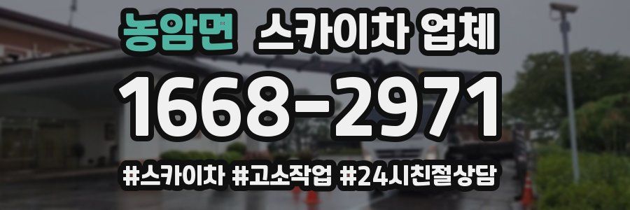 농암면 스카이차 업체