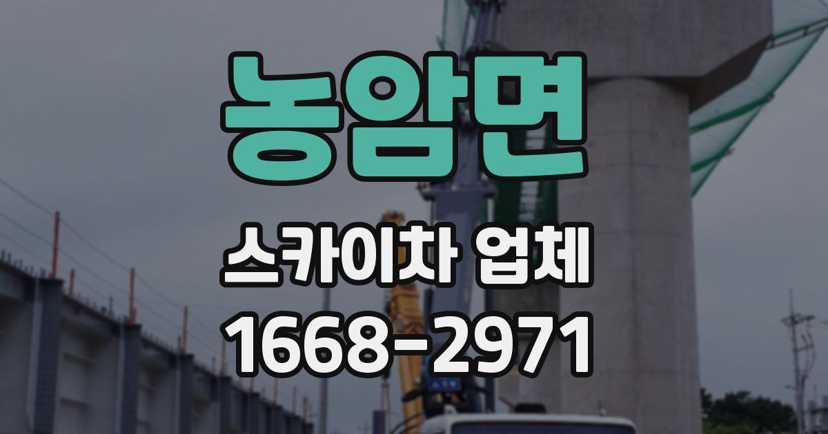 농암면 스카이차 업체