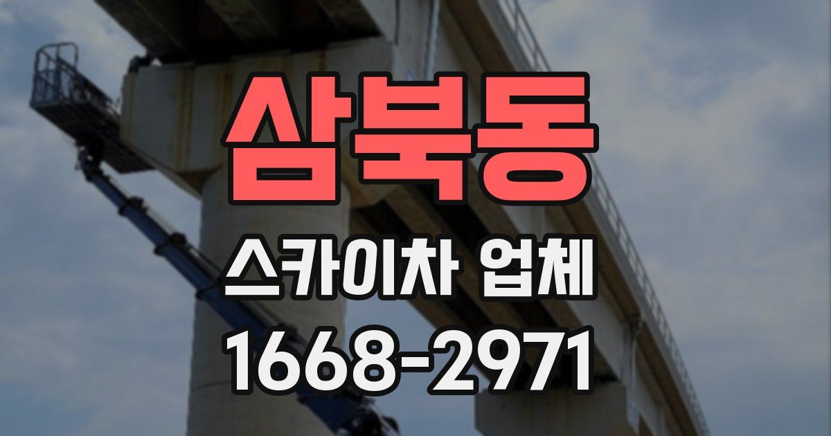 삼북동 스카이차 업체