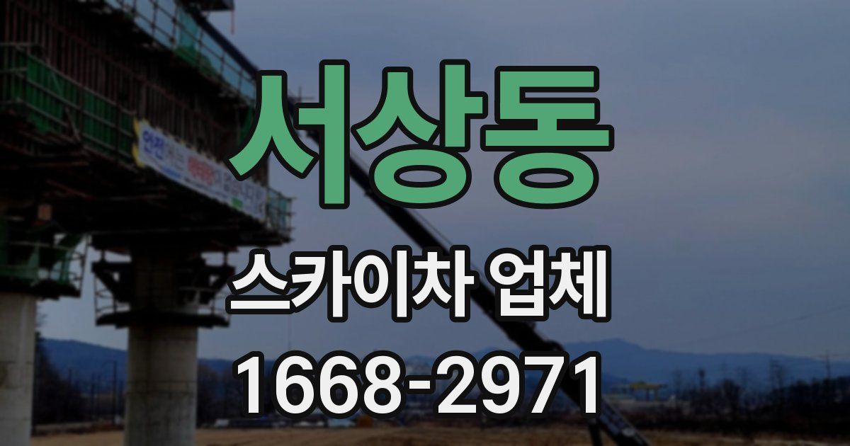 서상동 스카이차 업체
