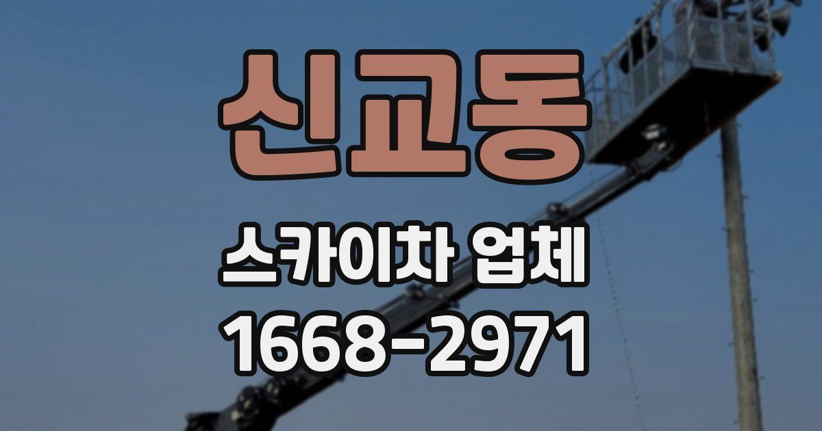 신교동 스카이차 업체