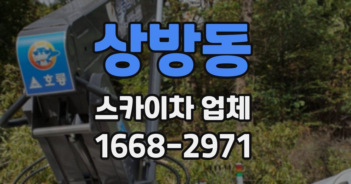 상방동 스카이차 업체