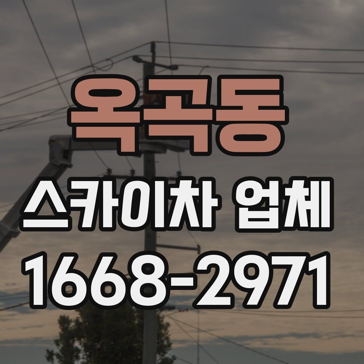 옥곡동 스카이차 업체 비교 시 놓치지 말아야 할 포인트