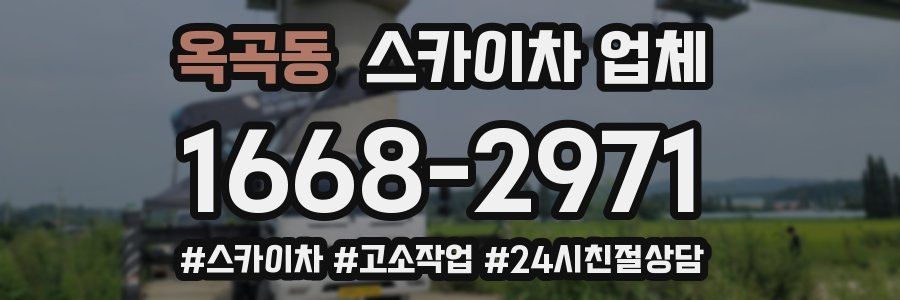 옥곡동 스카이차 업체