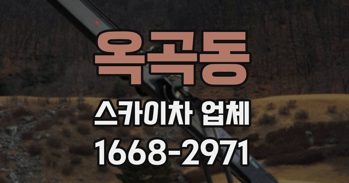옥곡동 스카이차 업체