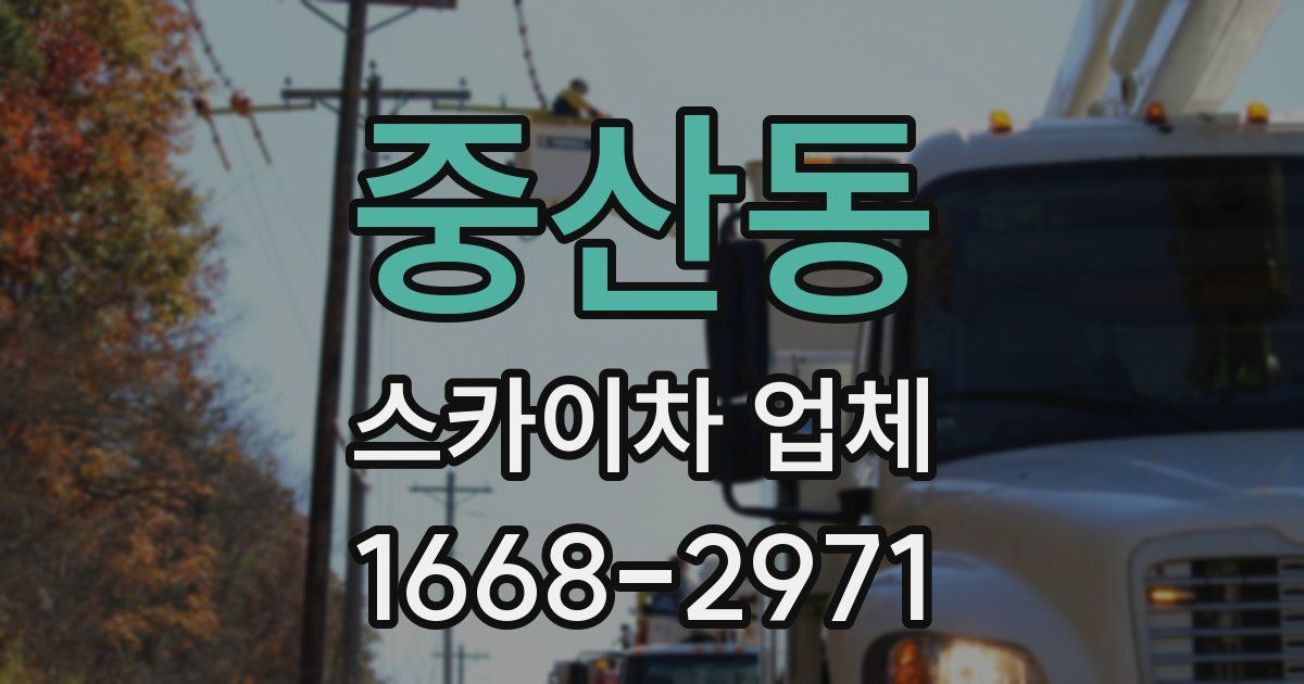 중산동 스카이차 업체