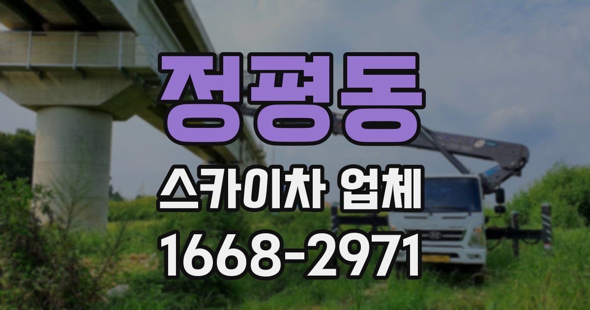 정평동 스카이차 업체