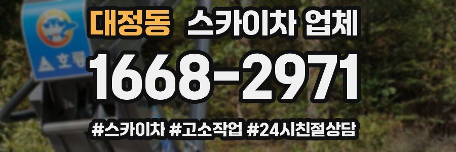 대정동 스카이차 업체