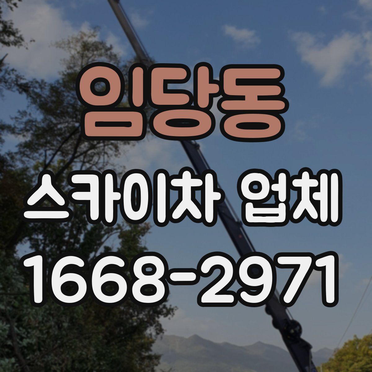 임당동 스카이차 업체