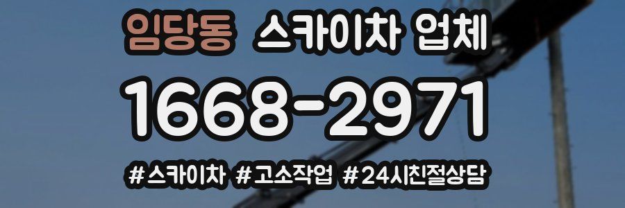 임당동 스카이차 업체