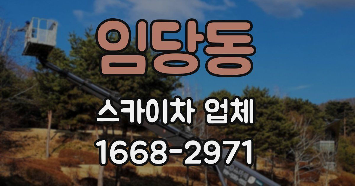 임당동 스카이차 업체