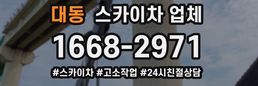 대동 스카이차 업체