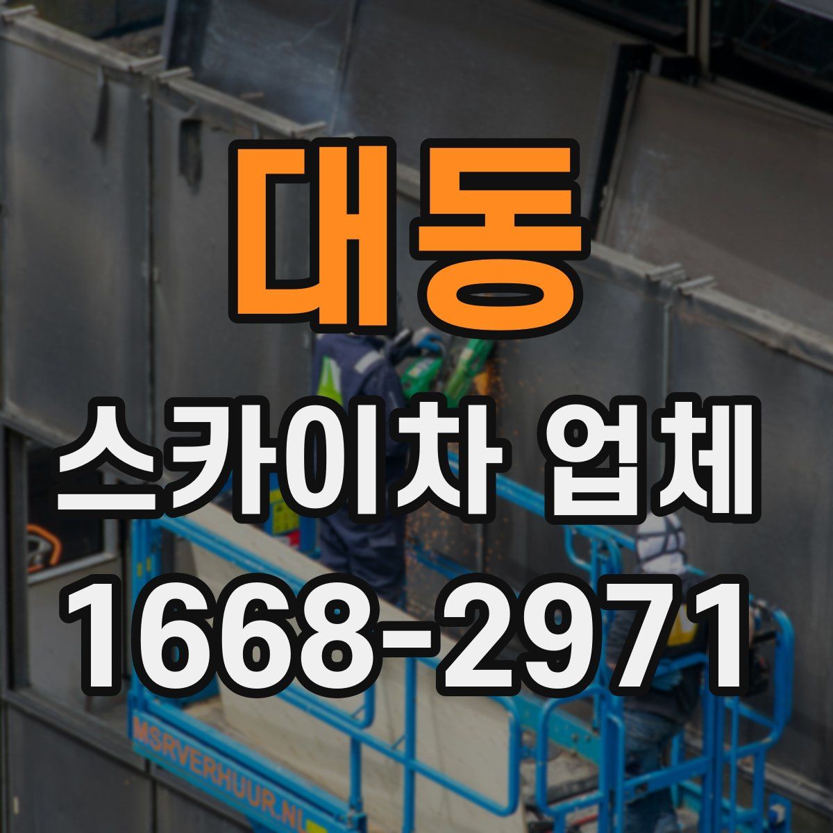 대동 스카이차 업체