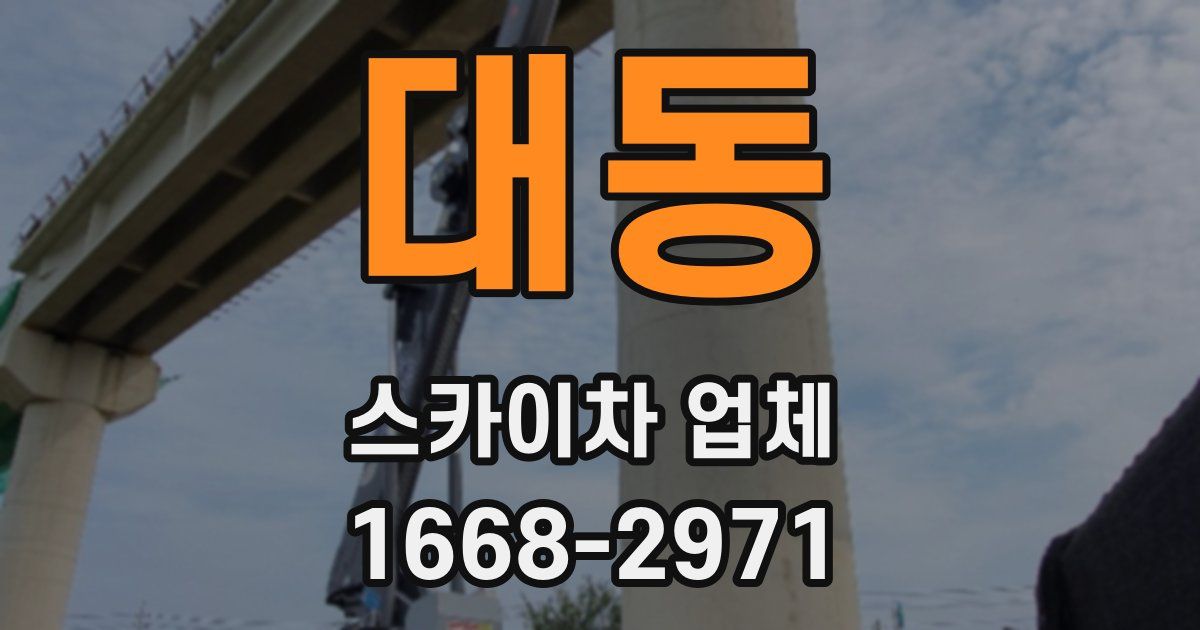 대동 스카이차 업체