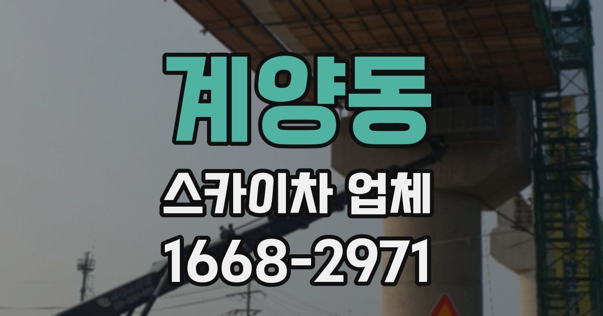 계양동 스카이차 업체