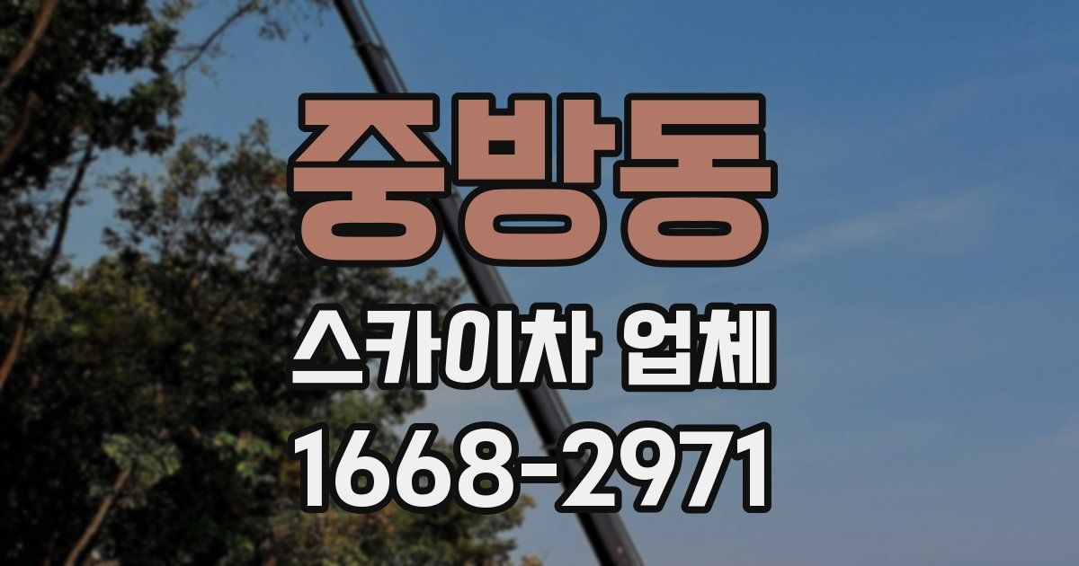 중방동 스카이차 업체