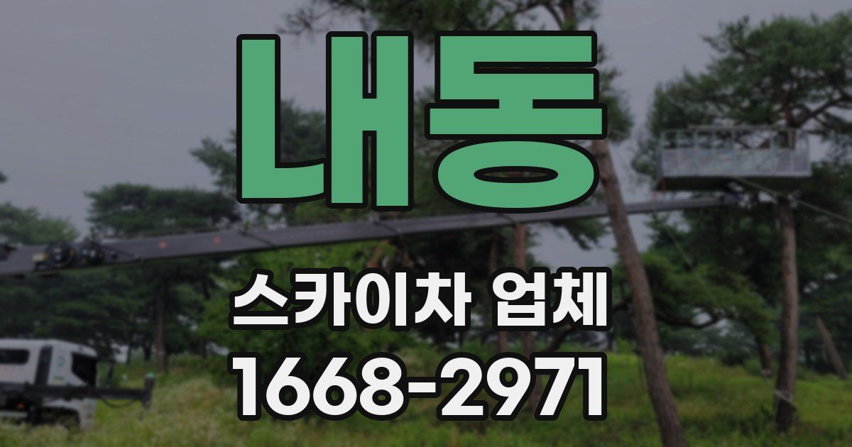 내동 스카이차 업체