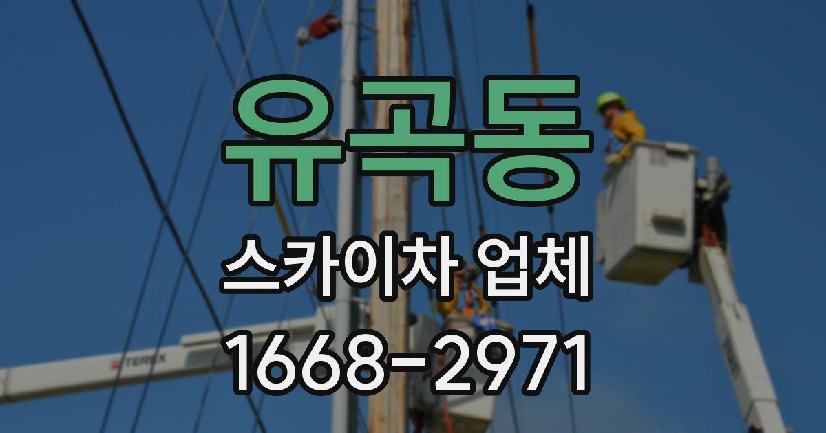 유곡동 스카이차 업체