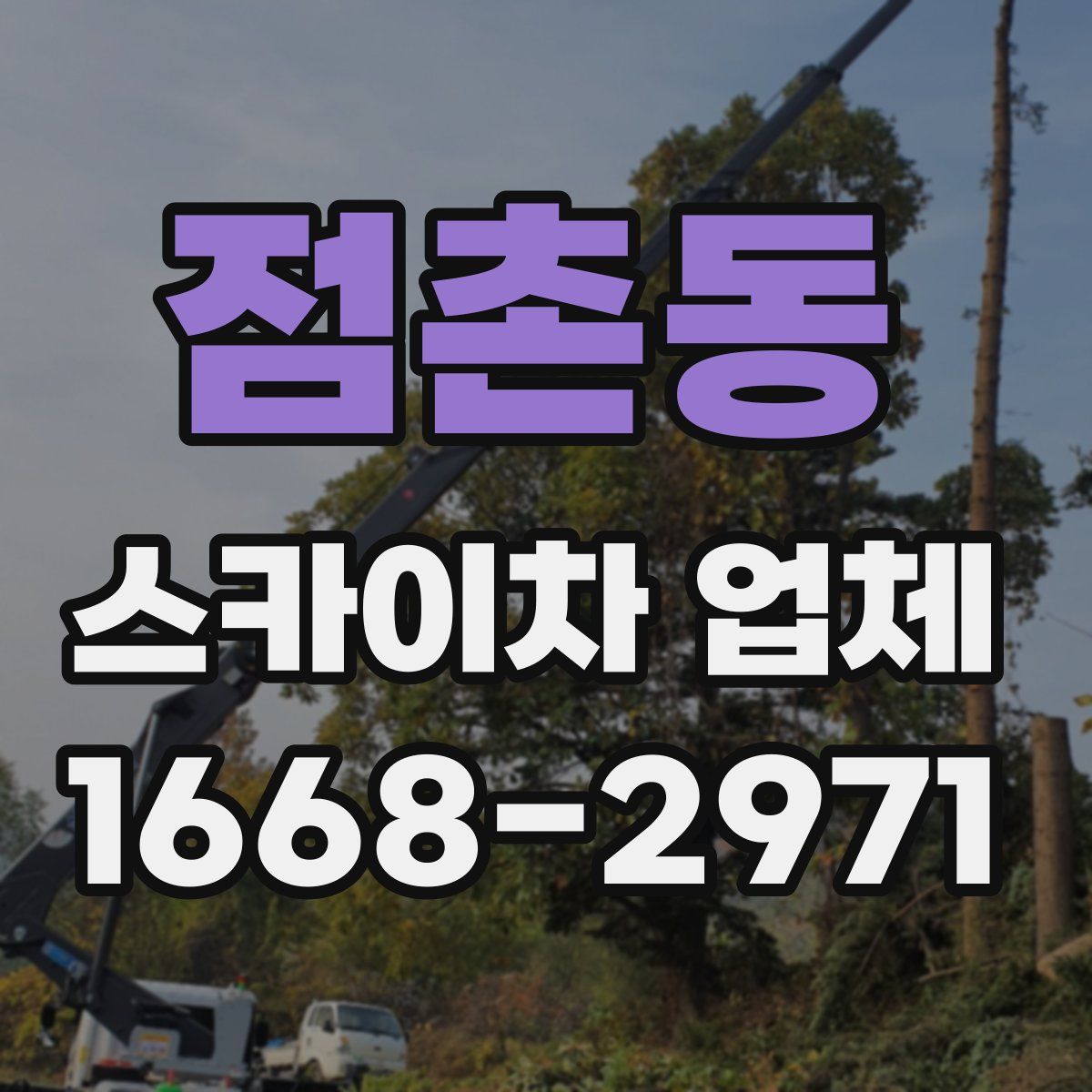 점촌동 스카이차 업체