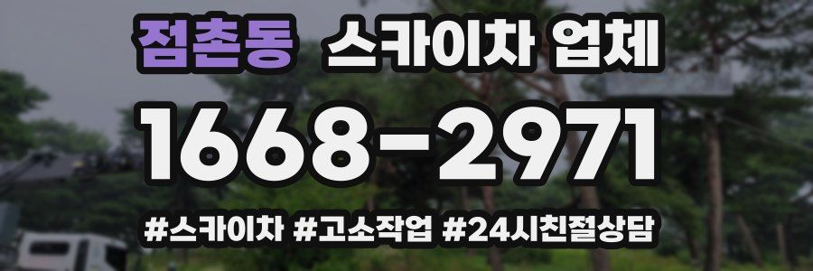 점촌동 스카이차 업체